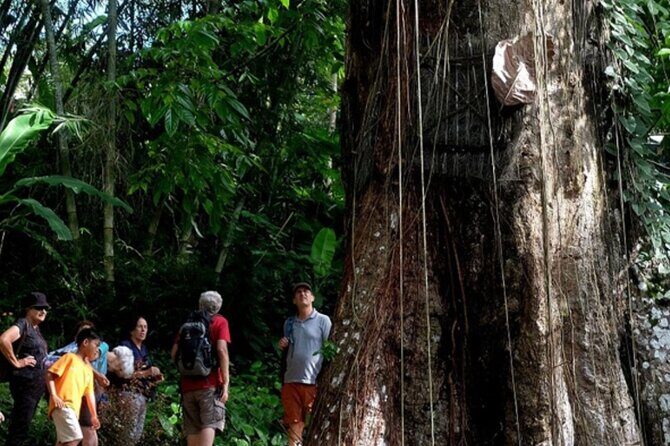 Explore Toraja Culture Heritage in 3 Days from Makassar - The Sum Up