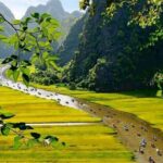 Exploring Hoa Lu - Tam Coc in Ninh Binh - Full Day - Who Should Consider This Tour?