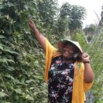 Exploring organic farm & Vietnamese Culinary with Master chef - An In-Depth Look at the Experience