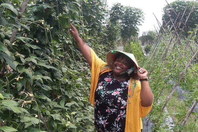 Exploring organic farm & Vietnamese Culinary with Master chef - An In-Depth Look at the Experience