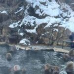 F: Tokyo:Nagano snow monkey/Zenko Ji temple private day tour - Why This Tour Offers Good Value