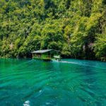 Famous Bohol Chocolate Hills Loboc River Cruise Tarsier Tour - Who Will Love This Tour?