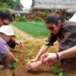 Farming with the Local Famers - Why This Tour Works for Travelers