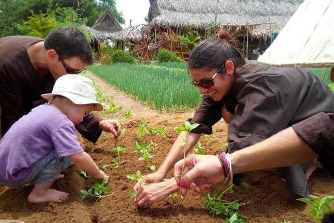 Farming with the Local Famers - Why This Tour Works for Travelers