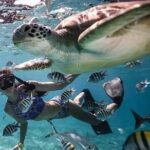 Fast Boat From Lombok To Bali, Nusa Lembongan And Nusa Penida - FAQ