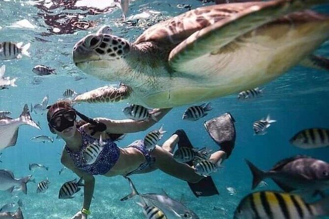 Fast Boat From Lombok To Bali, Nusa Lembongan And Nusa Penida - FAQ