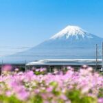 Feel Mt Fuji and Sake Tasting Private Tour from in Shizuoka - Who Would Enjoy This Tour?
