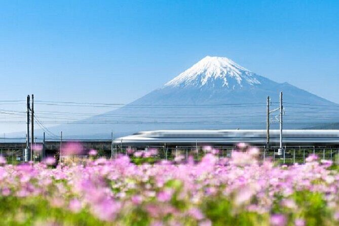 Feel Mt Fuji and Sake Tasting Private Tour from in Shizuoka - Who Would Enjoy This Tour?