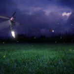 Fireflies Cruise with Batu Cave Visit and Seafood Dinner - Why This Tour Brings Value