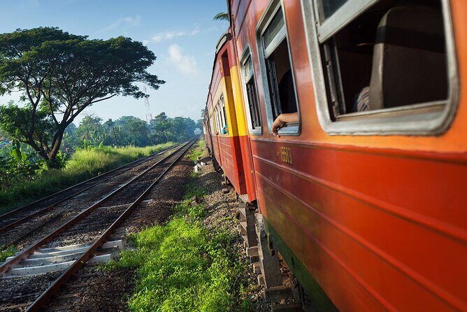 First Class Scenic Train Ticket From Kandy To Ella - Why This Train Ride Is a Must-Do in Sri Lanka