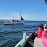 Fishing Experience with No Equipment Needed in Izumisano, Osaka - Who Will Love This Tour?