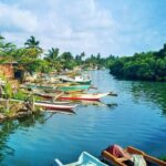 Fishing Village & Mangrove Tour Experince at Negombo (Starting from Colombo) - Exploring the Tour in Detail