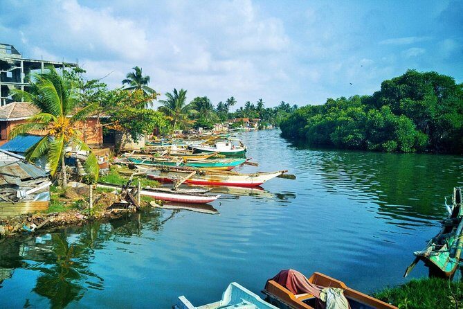 Fishing Village & Mangrove Tour Experince at Negombo (Starting from Colombo) - Exploring the Tour in Detail