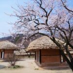 Flexible Private Guided Tour In Suwon(Optional layover) - What’s Included and What’s Not