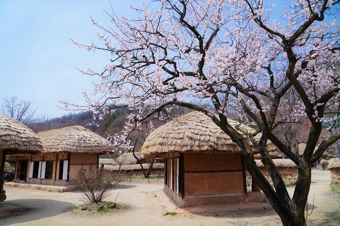 Flexible Private Guided Tour In Suwon(Optional layover) - What’s Included and What’s Not