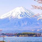 Flower Viewing at Kawaguchiko & Mt. Fuji Day Tour with Kusa Mochi - Experience Breakdown: What to Expect on the Tour