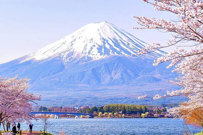 Flower Viewing at Kawaguchiko & Mt. Fuji Day Tour with Kusa Mochi - Experience Breakdown: What to Expect on the Tour
