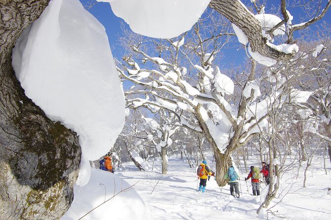 Fluffy New Snow and the Earth beating, Goshougake Oyunuma Snowshoeing Tour - Frequently Asked Questions