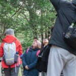 Forest Therapy in Sasaguri town - Final Thoughts