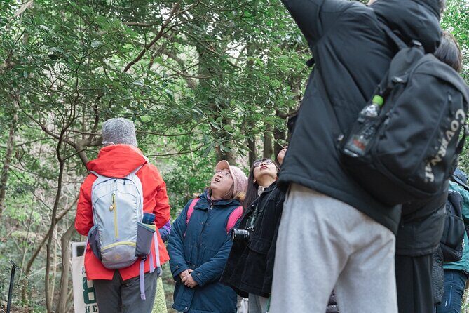 Forest Therapy in Sasaguri town - Final Thoughts