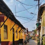 Fortkochi or Backwater Shore Excursions Tour from Cruise Terminal - The Sum Up: A Well-Rounded, Authentic Day in Kochi