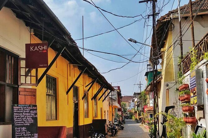 Fortkochi or Backwater Shore Excursions Tour from Cruise Terminal - The Sum Up: A Well-Rounded, Authentic Day in Kochi