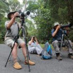 Fraser's Hill Bird-Watching & Nature Sightseeing Tour from Kuala Lumpur - Frequently Asked Questions