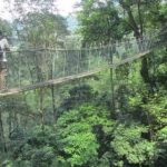 FRIM Nature Trekking Tour with Batu Caves, Batik & Pewter Factory - Final Thoughts on Value and Suitability