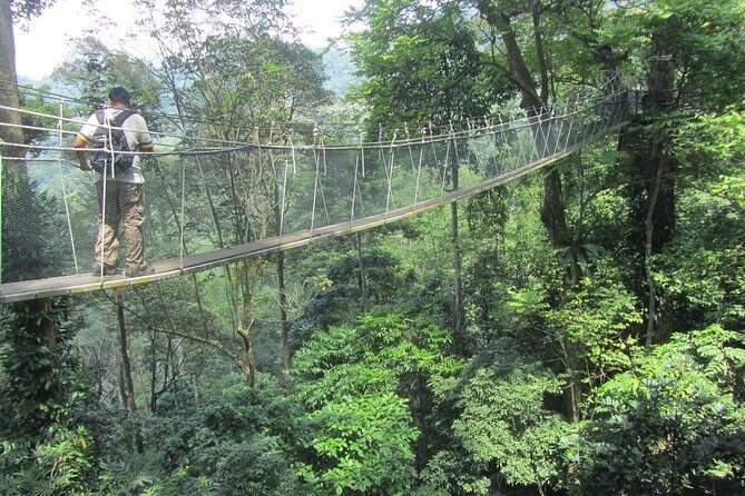 FRIM Nature Trekking Tour with Batu Caves, Batik & Pewter Factory - Final Thoughts on Value and Suitability