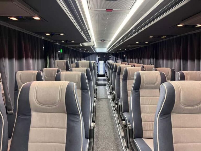 From Almaty: Kolsay, Kaindy Lakes and Charyn Canyon Day Trip - Transportation and Comfort