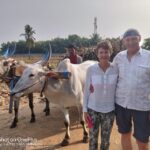 From Bangalore: Day Trip to Somnathpur & Talakadu with Lunch - Exploring the Temples and Legends of Somnathpur & Talakadu