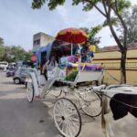 From Bangalore : Mysore Sightseeing full day tour - Why This Tour Offers Excellent Value