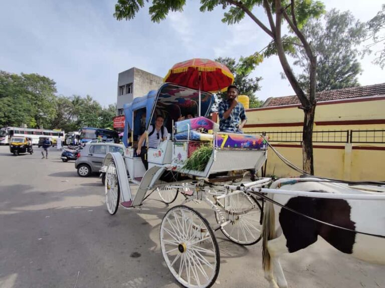 From Bangalore : Mysore Sightseeing full day tour - Why This Tour Offers Excellent Value