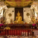 From Bentota: Kandy Tour with Tooth Temple & Gardens Visit - Exploring the Day Itself: What You Can Expect