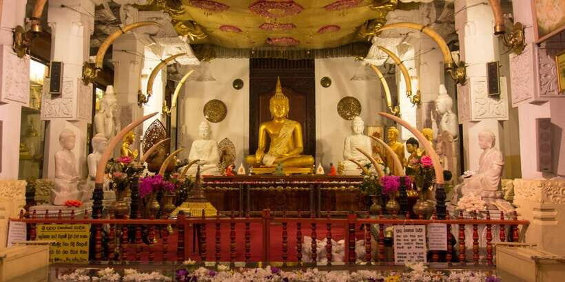 From Bentota: Kandy Tour with Tooth Temple & Gardens Visit - Exploring the Day Itself: What You Can Expect