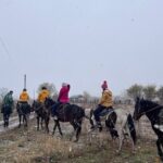 From Bishkek Horse Riding in Arashan Mountains - Why We Think This Tour Offers Great Value