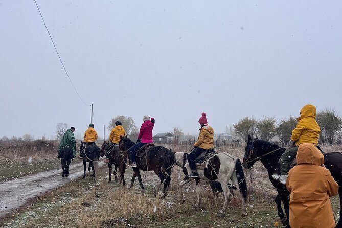 From Bishkek Horse Riding in Arashan Mountains - Why We Think This Tour Offers Great Value