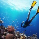 From Cebu: Island Hopping to 3 islands with BBQ lunch - In-Depth Review: Why This Tour Stands Out