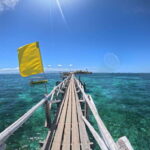 From Cebu: Island Hopping to 3 islands with BBQ lunch - Who Will Love This Tour?