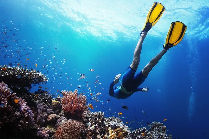 From Cebu: Island Hopping to 3 islands with BBQ lunch - In-Depth Review: Why This Tour Stands Out