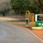 From Chandrapur: 2-Day Tadoba National Park Safari Tour - Exploring the Adventure: A Deep Dive into the 2-Day Tadoba Safari
