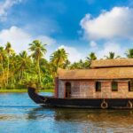 From Cochin: 5 Day Private Kerala Tour with 3 & 4 Star Hotel - Final Thoughts: Is It Worth It?