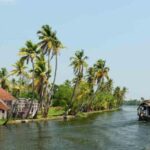 From Cochin : Alleppey Houseboat day cruise - Round trip - Practical Details and Tips