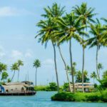 From Cochin: Day Tour of Alleppey houseboat with Lunch - Who Will Love This Tour?