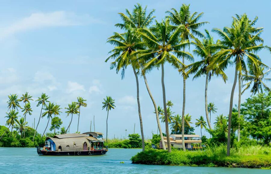 From Cochin: Day Tour of Alleppey houseboat with Lunch - Who Will Love This Tour?