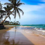 From Colombo: Galle Guided Tour with Herbal Massage - Who Will Love This Tour?