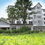 From Colombo: Kandy and Tea Plantations Day Trip - Authenticity and Traveler Feedback