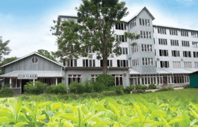 From Colombo: Kandy and Tea Plantations Day Trip - Authenticity and Traveler Feedback