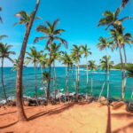 From Colombo to Yala 6-Day Private Trip with 21-Sites - Final thoughts: Who should consider this tour?