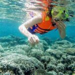 From Da Nang/ Hoi An: Cham Island Day Tour with snorkeling fun - Final Words